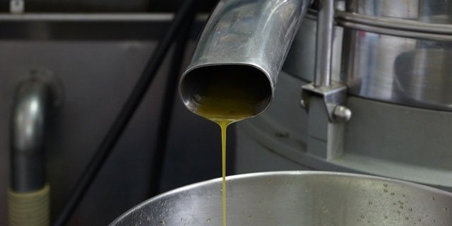 Фото. Использование пальмового масла в производстве продуктов питания