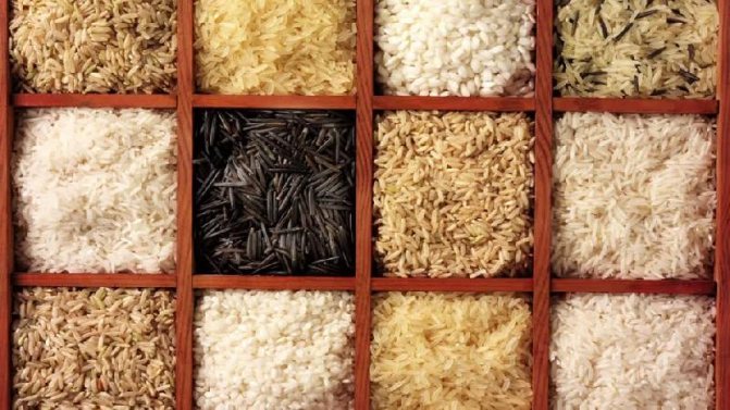 Как правильно хранить рис в домашних условиях и сколько он может храниться