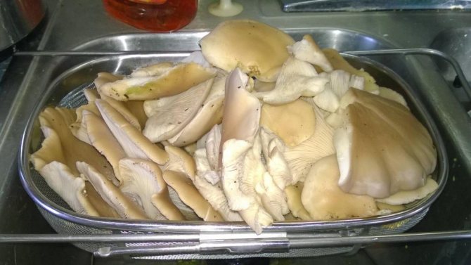 How to keep mushrooms fresh for 3 days