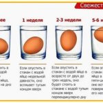 Проверка яйца на свежесть