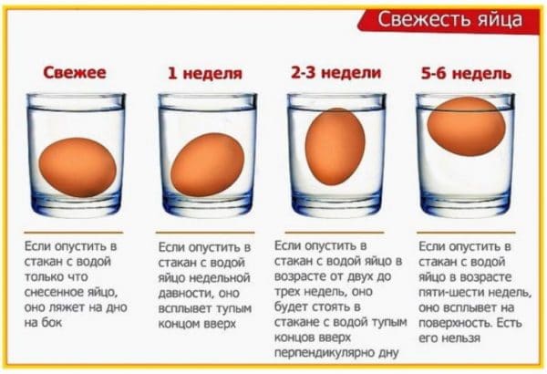 Проверка яйца на свежесть